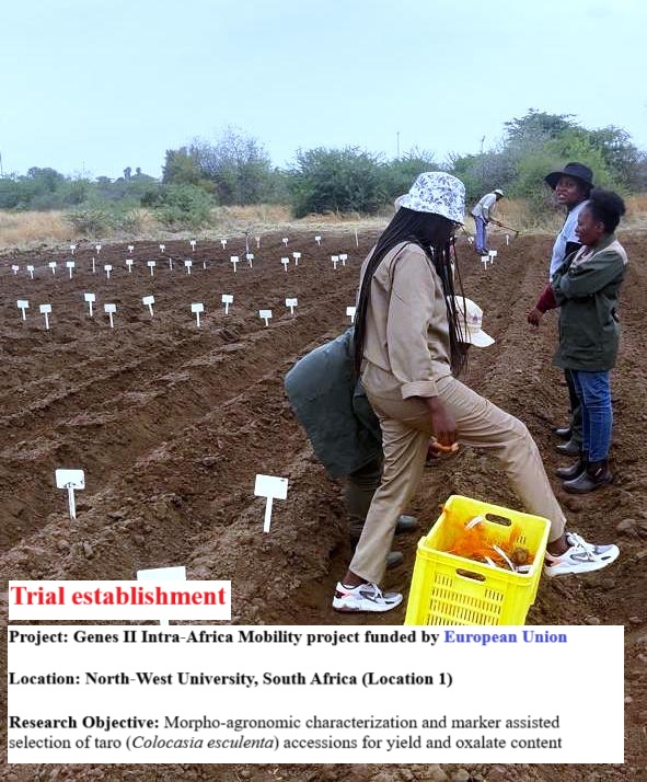 Research Field -Gallery